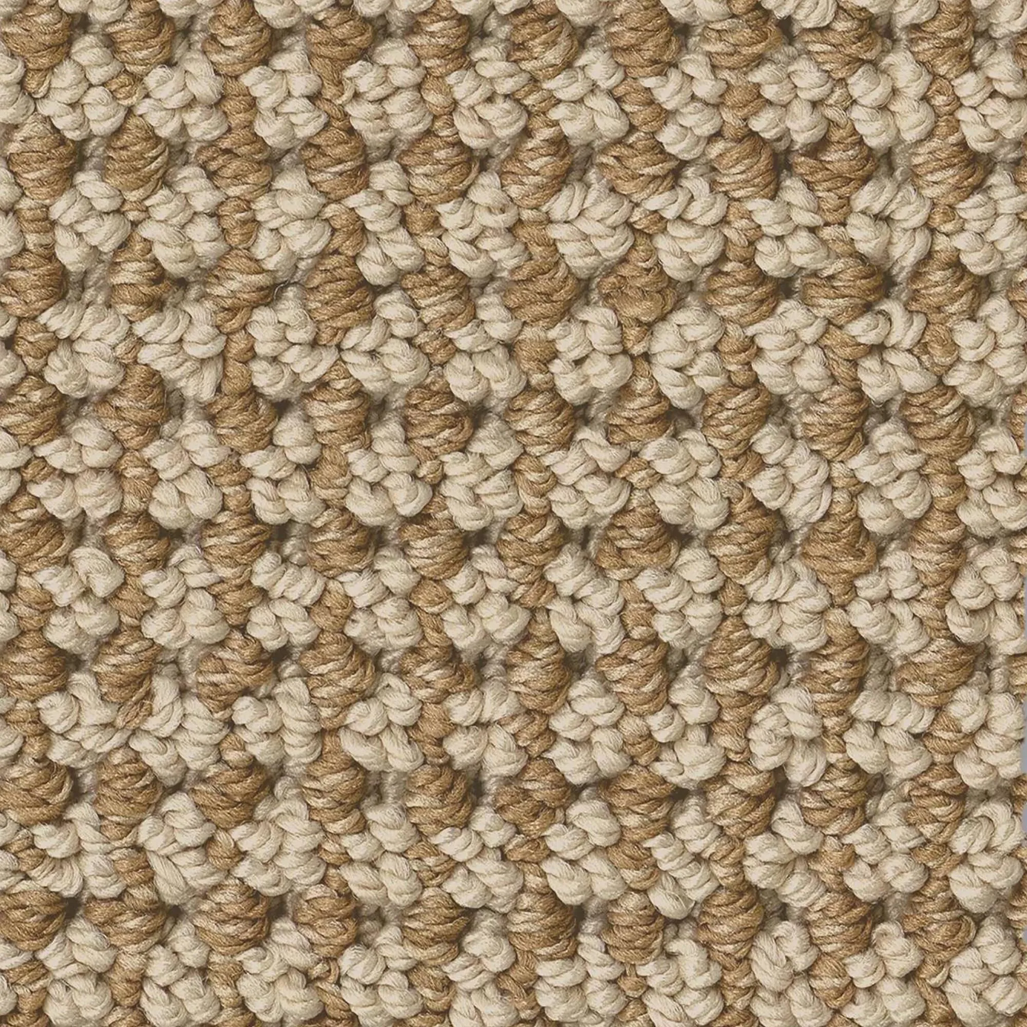 Anderson Tuftex Inspired Carpet in Topaz